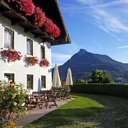Pension Hohenau-2