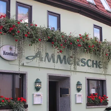 Ammerscher Bahnhof-3