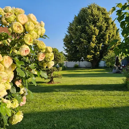 Pension Sonnenhof-2