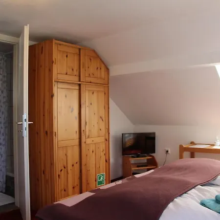 Romantic-Pension Albrecht - Villa Next To Unesco World Heritage - Since 1901-2