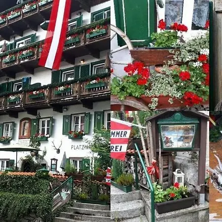 Platzhirsch zur alten Wagnerei Gästehaus-3