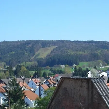 Cafe - Pension Zum Goldenen Stern-3