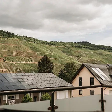 Wein- und Gästehaus Schwaab&Sohn-2