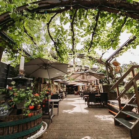 Wein- und Gästehaus Schwaab&Sohn-3