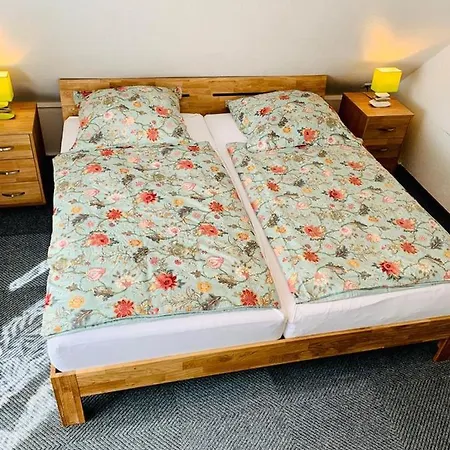 Hotel Pension Schienfatt am Dornumersieler Tief-2