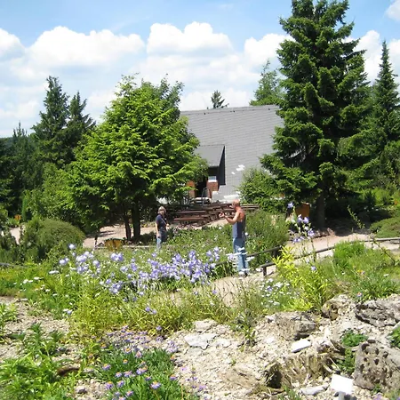 Pension Haus Flora-2