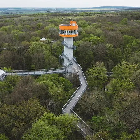 Pension Bergstube-3