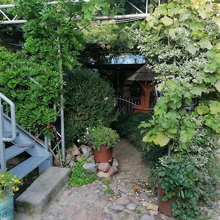 Pension Am Buhnenkopf-2