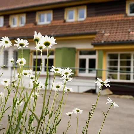 Pension zum Hexenstieg-3