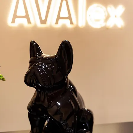 Hotel AVAlex-3