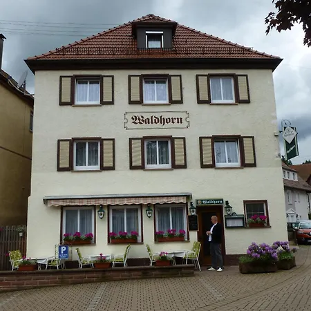 Gasthaus Waldhorn-2