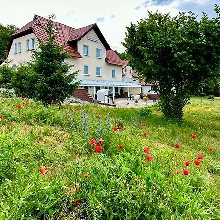 Pension Hanni-2
