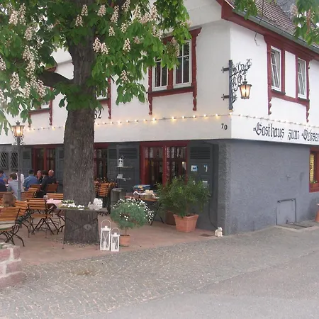 Gasthaus zum Ochsen-3