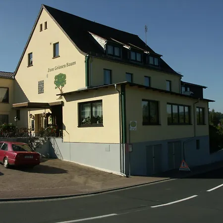 Restaurant Grüner Baum-2