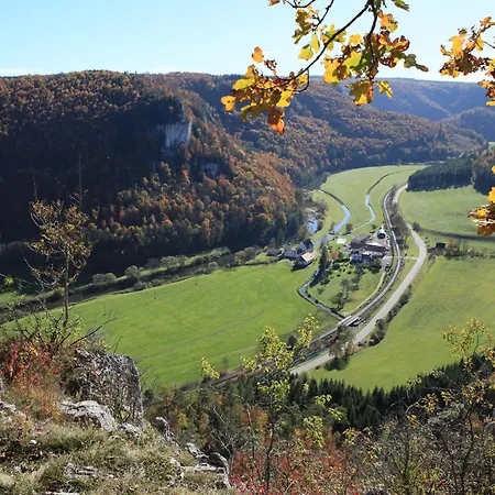 Pension Weinhaus Unger-2