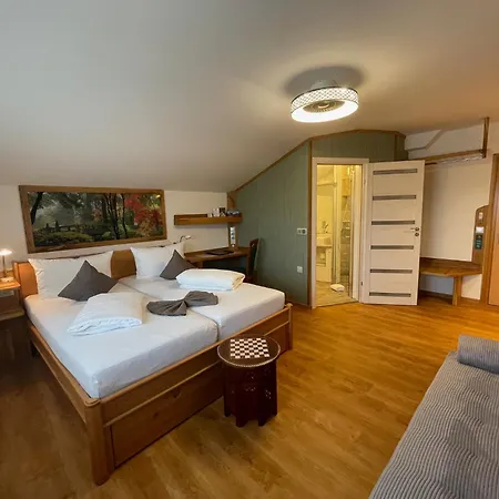Hotel Pension Blumenbach-3