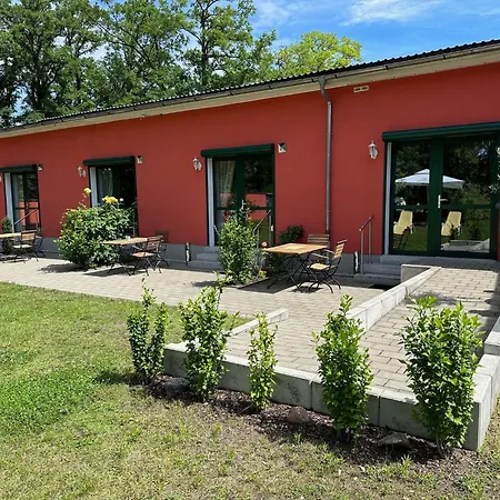 Bed&Breakfast am Waldgürtel-2