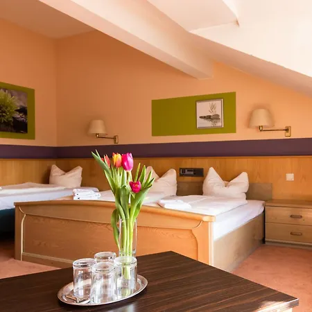 Hotelpension zum Gockl-2