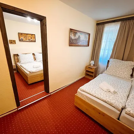 Pension Zum Erzgebirge-3