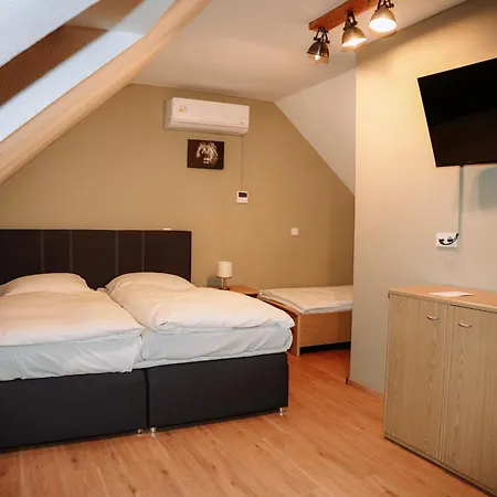 Angelis Pension Frankfurt Airport-3