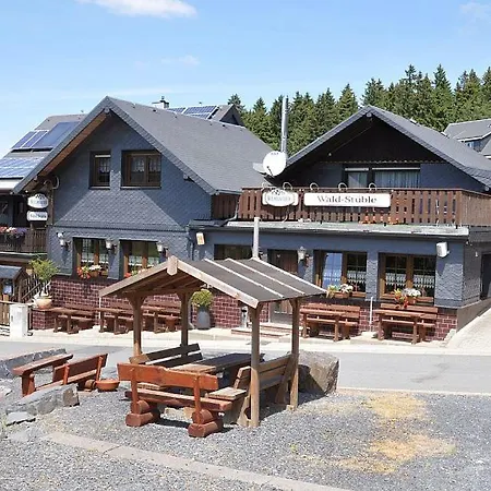 Gaststaette Und Pension Waldstueble-2