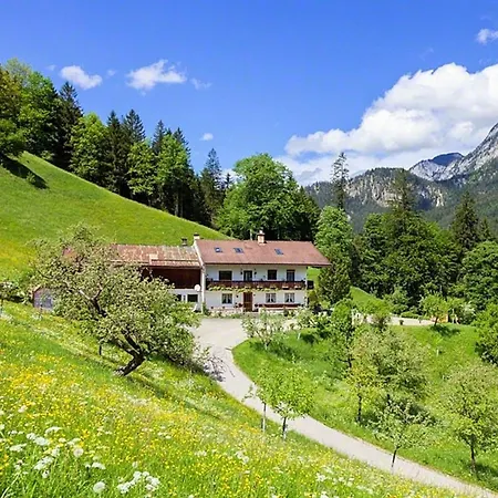Pension Scheuerbichl-3