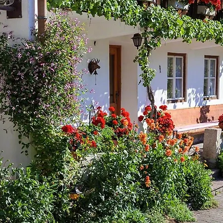 Pension Scheuerbichl-2