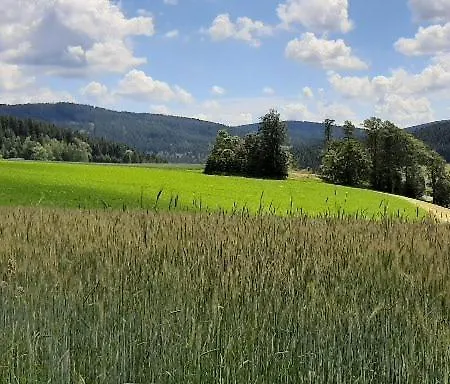 Landgasthof Neitsch-3