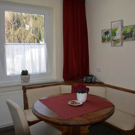 Pension Waldheim-3