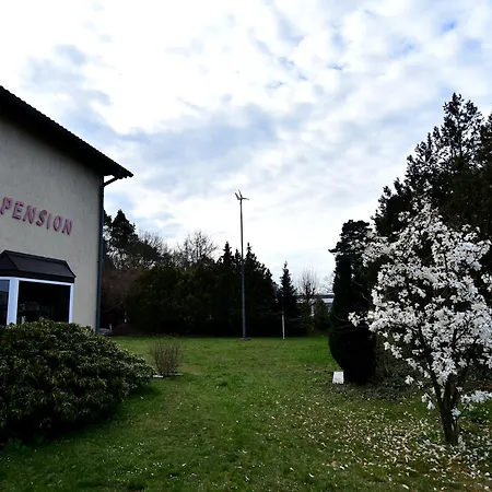 Pension Schwesinger-2
