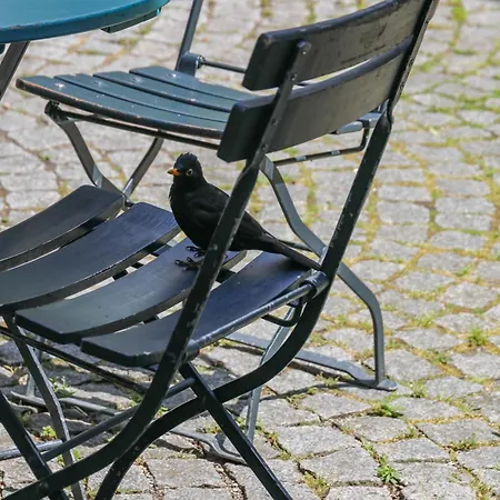 Pension Katzensprung-2