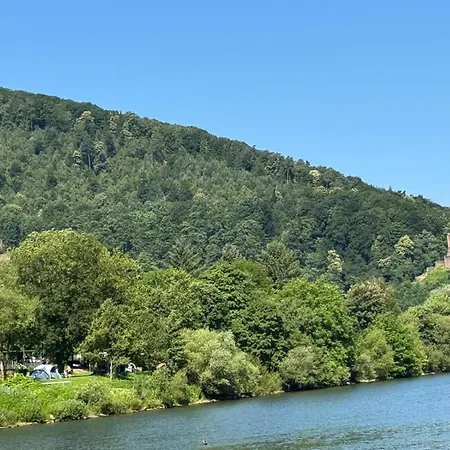 Hotel Garni Neckarblick-3