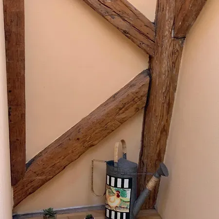Hotel Brudermühle-3
