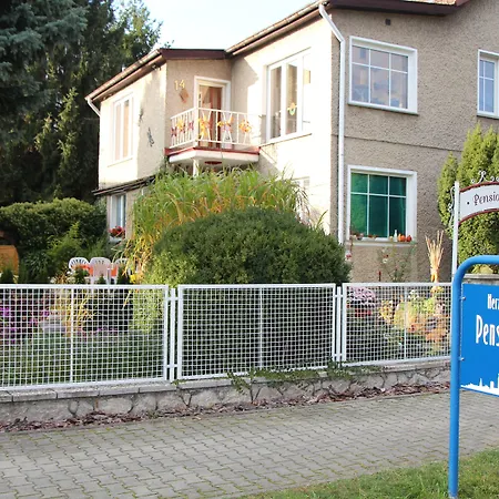 Pension Belger Serviced Apartments Zimmer Und Wohnungen-3