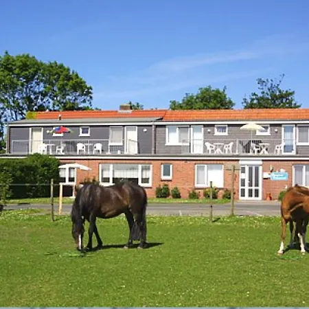 Pension Sielmöwe-3
