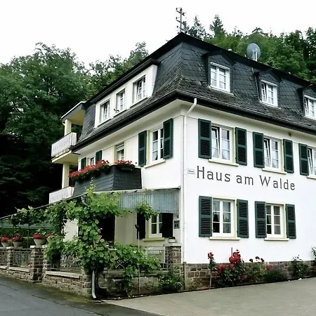 Pension Haus am Walde Brodenbach, Mosel-2