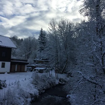 Gasthof&Pension Brettmühle-3