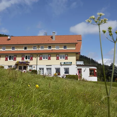 Gasthof-Pension Berghof-3