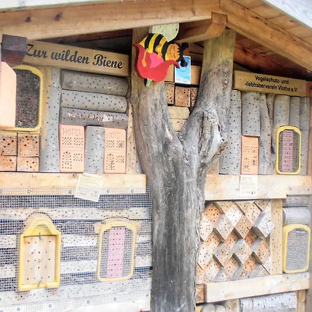 Gasthaus Schadde-3