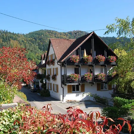 Hotel am Mühlbach-3