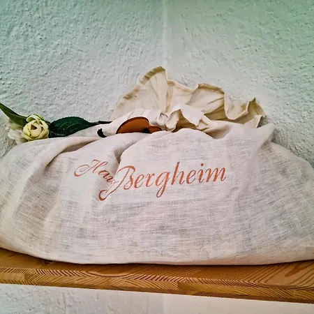 Haus Bergheim-3