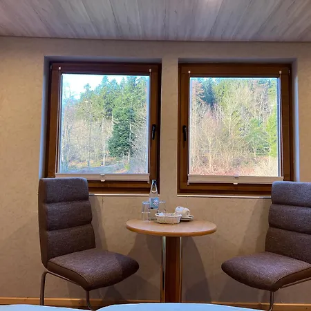 Pension Mountain View Sauerland-3