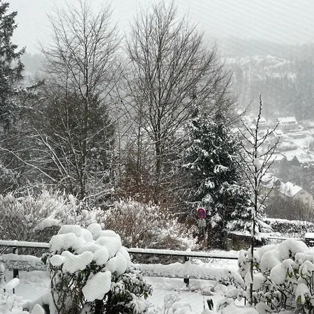 Pension Talblick Bad Grund-3