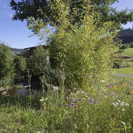 Landhaus Mühlengrund-3
