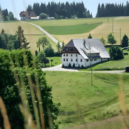 Gasthaus Pension Zum Löwen-3