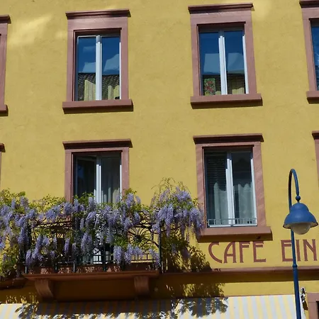 Apartments Im Cafe Einstein-3