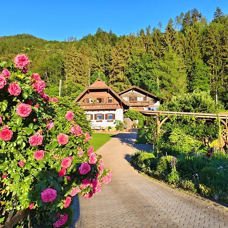 Blumenpension Strauss - Ferienwohnungen-2