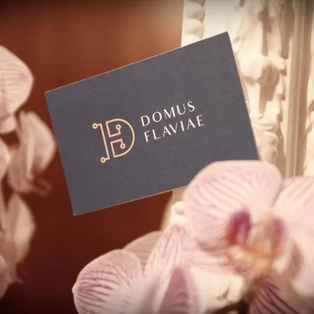 Domus Flaviae-2