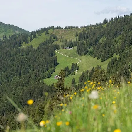 Riedbergerhorn - Gasthof&Ferienwohnungen-2
