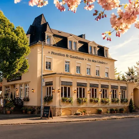 Pension&Restaurant Zu den Linden Radebeul-3